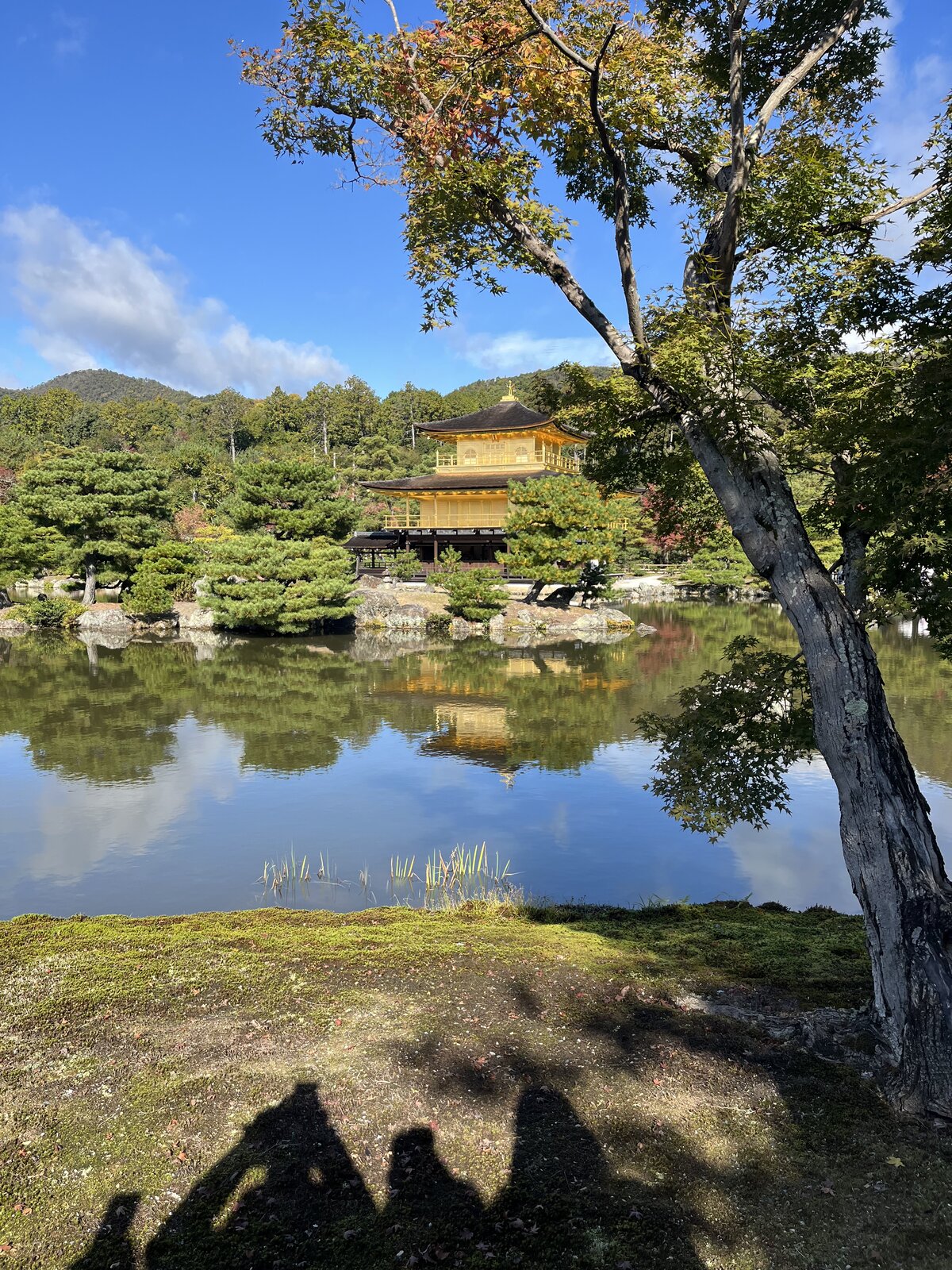金閣寺